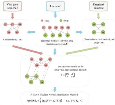 Repositioning Drugs on Human Influenza A Viruses Based on a Novel Nuclear Norm Minimization Method